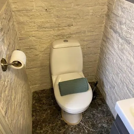 For Big Group - 6 Bedrooms & 2 Same House טאלין